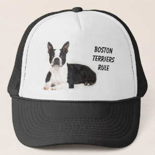 Boston Terriers Rule Hat
