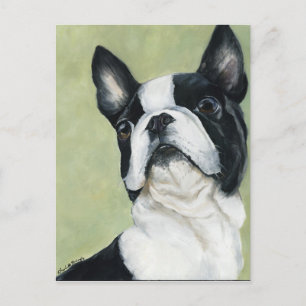 BostonTerrier Original Dog Art Postcard
