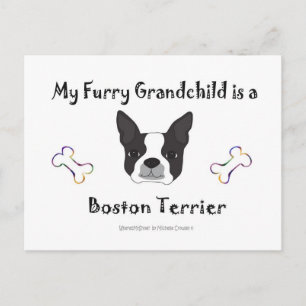 BostonTerrier Postcard