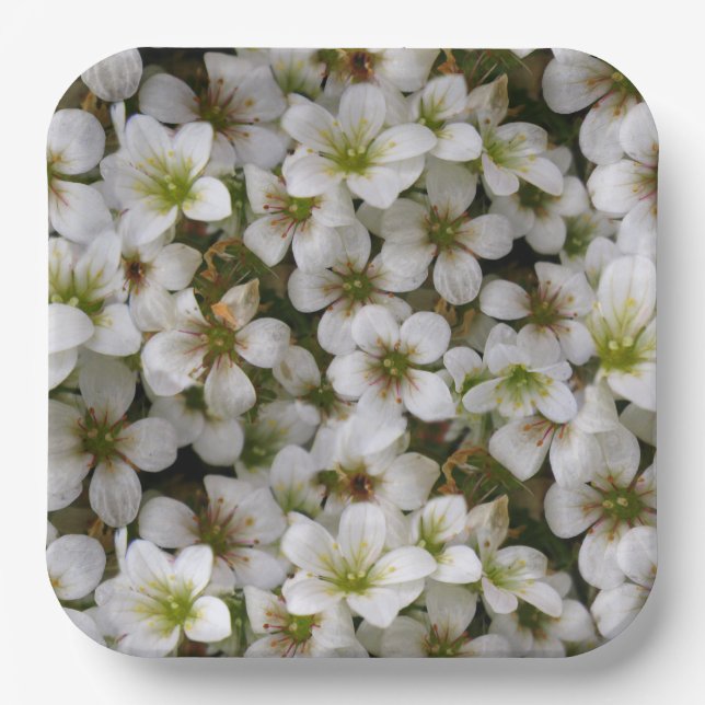 Botanic Garden White Flowers Paper Plate (Front)