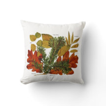 Botanical Art Autumn Leaves Assortment