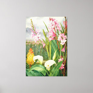 Botanical art: Beauties of the Swamp Canvas Print