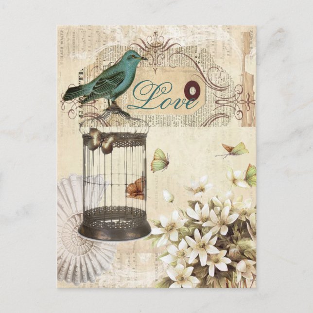 botanical art birdcage modern vintage french bird postcard (Front)