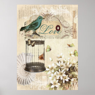 botanical art birdcage modern vintage french bird poster