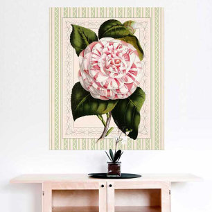 Botanical Art Vintage Camellia Striking Design Poster