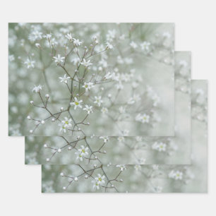 Botanical Baby's Breath Flower Plant Photo Wrapping Paper Sheet