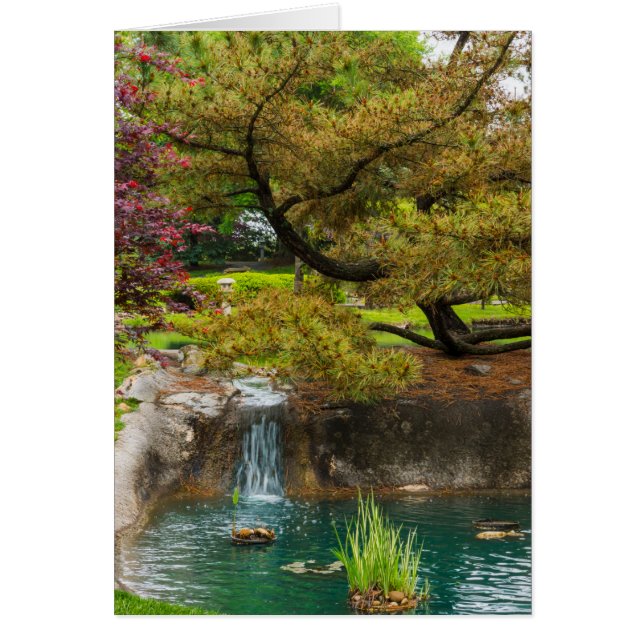 Botanical Bliss (Front)