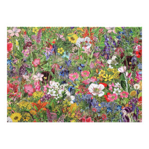 Botanical Bloom Nature Wildflower Photo Print
