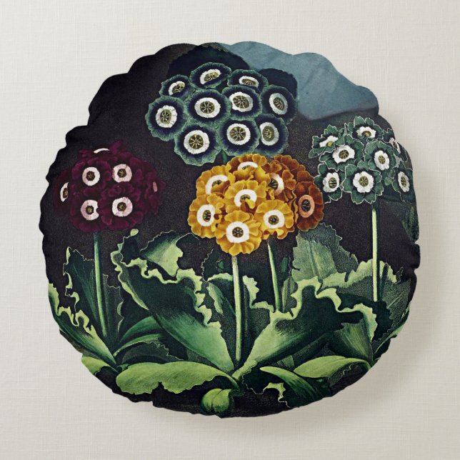 Botanical Blooms Auriculas Cushions (Front)