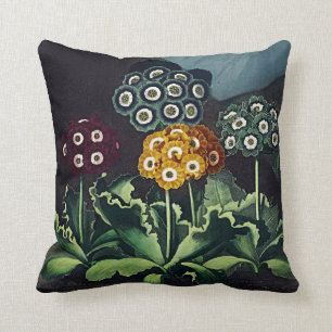Botanical Blooms Auriculas Cushions