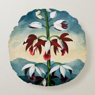 Botanical Blooms China Limodoron Cushions