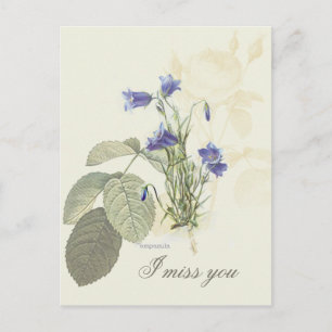 Botanical Blue Campanula 1 Postcard