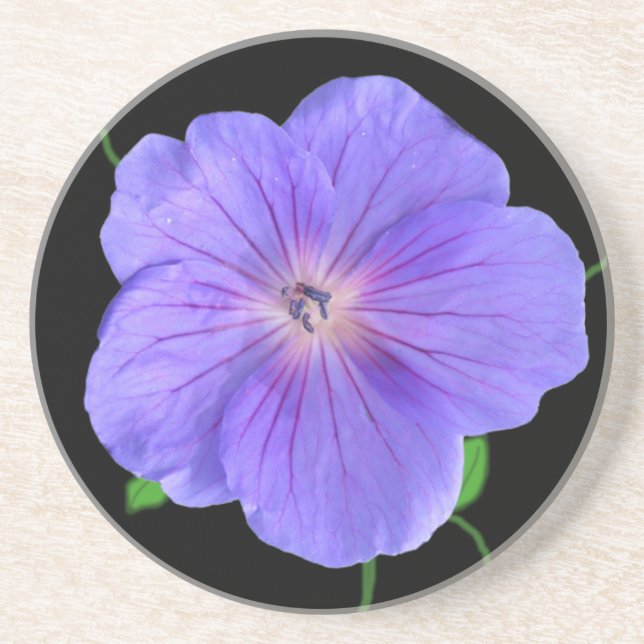 Botanical Blue Geranium Flower on any Colour Coaster (Front)