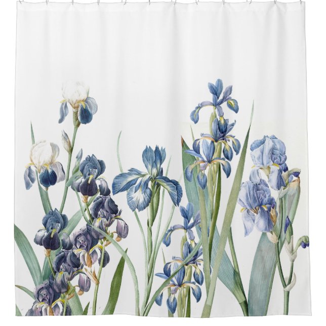 Botanical Blue Iris Flowers Floral Garden Shower Curtain (Front)