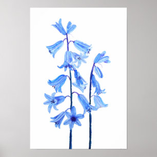 Botanical bluebells flower watercolor poster