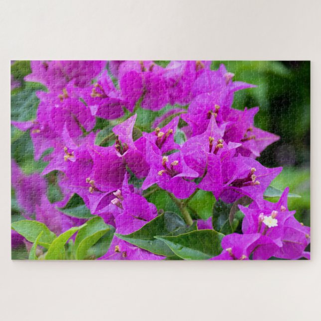 Botanical Bougainvillea Colourful Floral Jigsaw Puzzle (Horizontal)