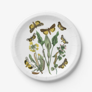 Botanical Butterfly and Moth Natural Vintage Plate