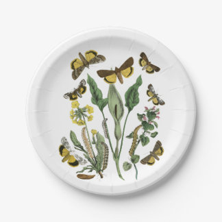 Botanical Butterfly and Moth Natural Vintage Plate