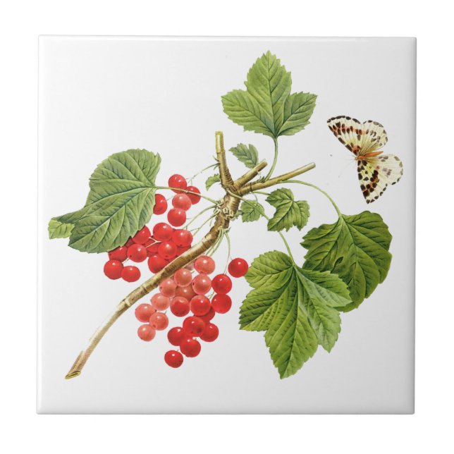 Botanical Ceramic Tile (Front)