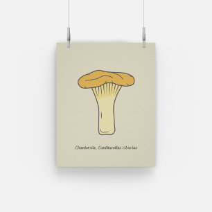 Botanical Chanterelle Mushroom Poster