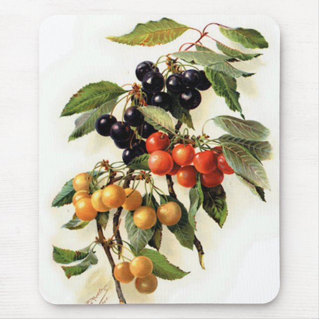 Botanical Cherries Print Mouse Mat (Front)