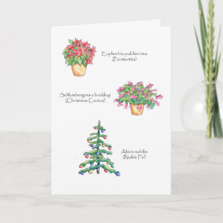 Botanical Christmas Holiday Card