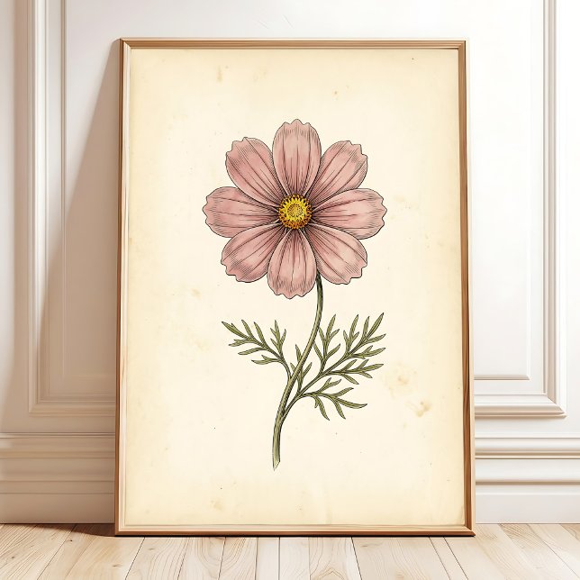 Botanical Cosmos Wall Art Print (Creator Uploaded)
