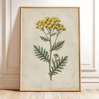 Botanical Cottage Vintage Wall Art Canvas