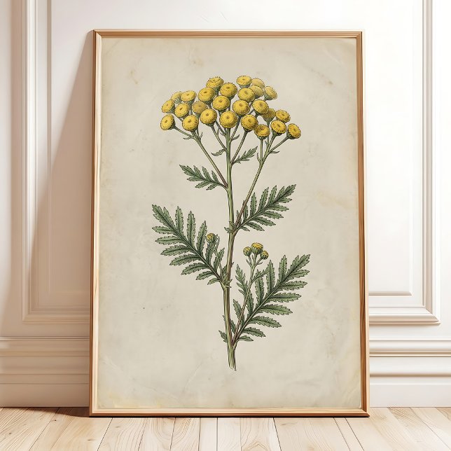 Botanical Cottage Vintage Wall Art Canvas (Creator Uploaded)