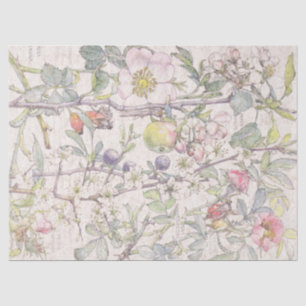 Botanical Crab Apple Flowers Blossoms Tissue Paper