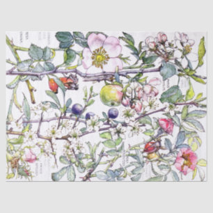 Botanical Crab Apple Flowers Blossoms Tissue Paper