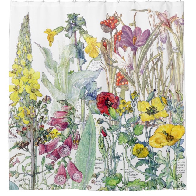 Botanical Crocus Foxglove Flowers Shower Curtain (Front)