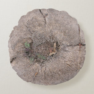 Botanical Cut Palm Tree Photo Round Cushion