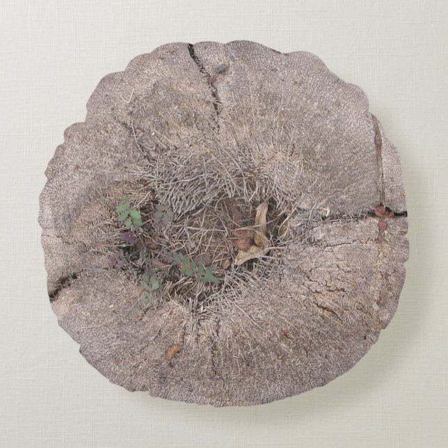 Botanical Cut Palm Tree Photo Round Cushion (Front)