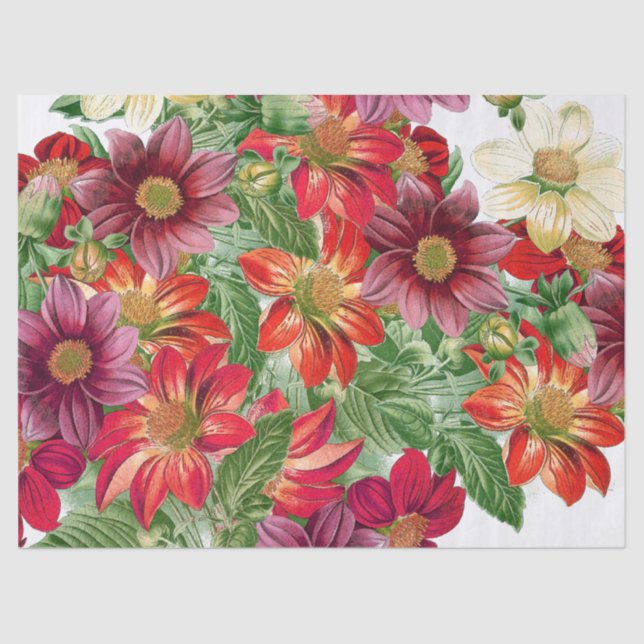 Botanical Dahlia Flowers Floral Tissue Paper (Front)