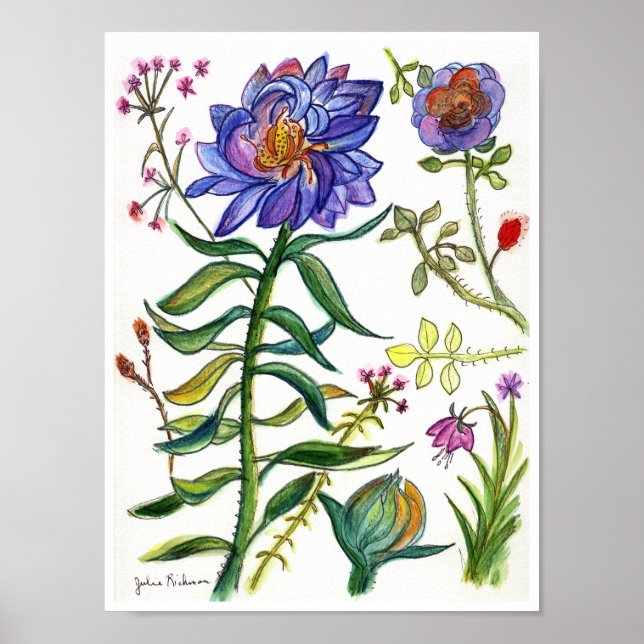 Botanical Drawing of Wonderful Blue Flower Poster (Front)