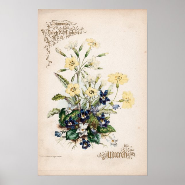 Botanical Engravings, March Poster (Front)