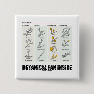 Botanical Fan Inside (Types Of Buds) 15 Cm Square Badge