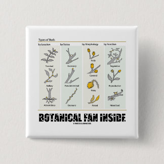 Botanical Fan Inside (Types Of Buds) 15 Cm Square Badge