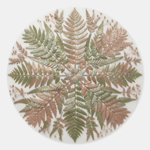 Botanical Fern Green Copper Pressed Leaves Classic Round Sticker