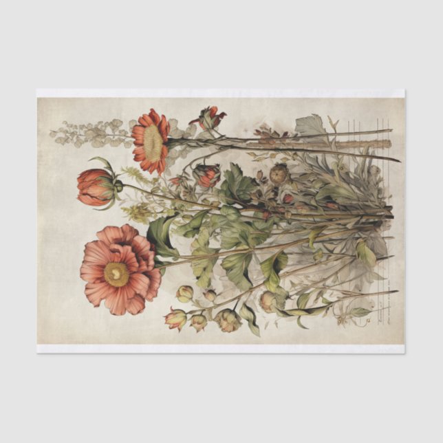 Botanical Flower Illustrations on Parchment No. 1 Tissue Paper (Front)