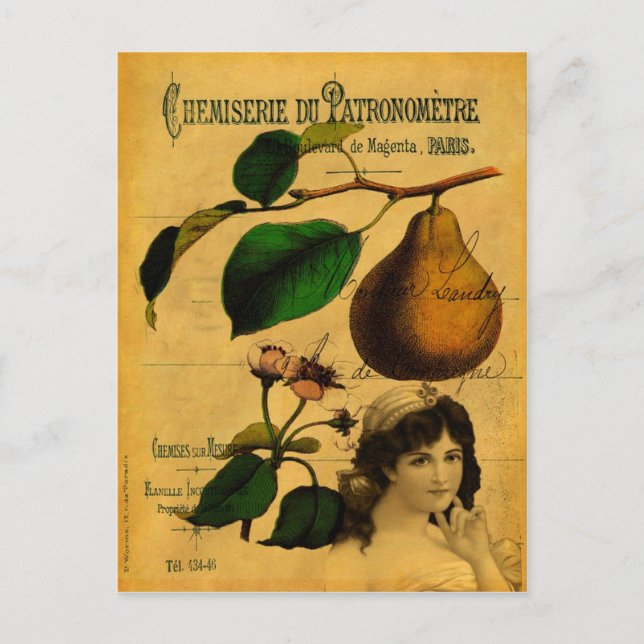 Botanical Fruit Postcard (Front)