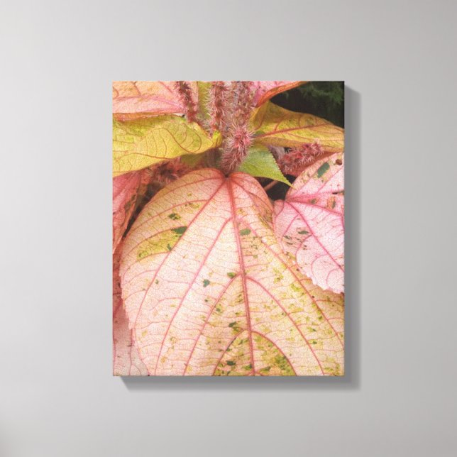 Botanical Garden Art Canvas Print (Front)