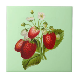 Botanical Garden Strawberry Tile
