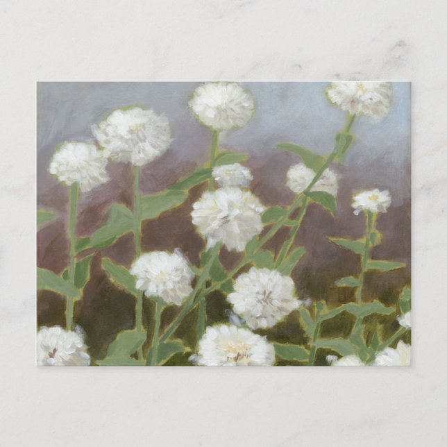 Botanical Garden Study I Postcard (Front)