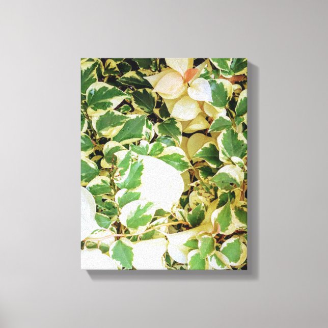 Botanical Garden Wall art (Front)