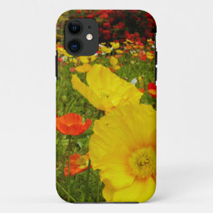 Botanical gardens at Queens Park iPhone 11 Case