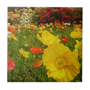 Botanical gardens at Queens Park Tile