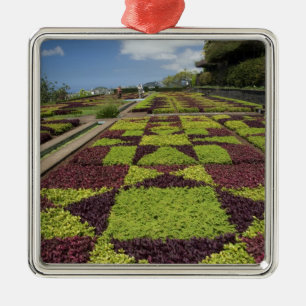 Botanical Gardens, Funchal, Madeira Islands, Metal Tree Decoration