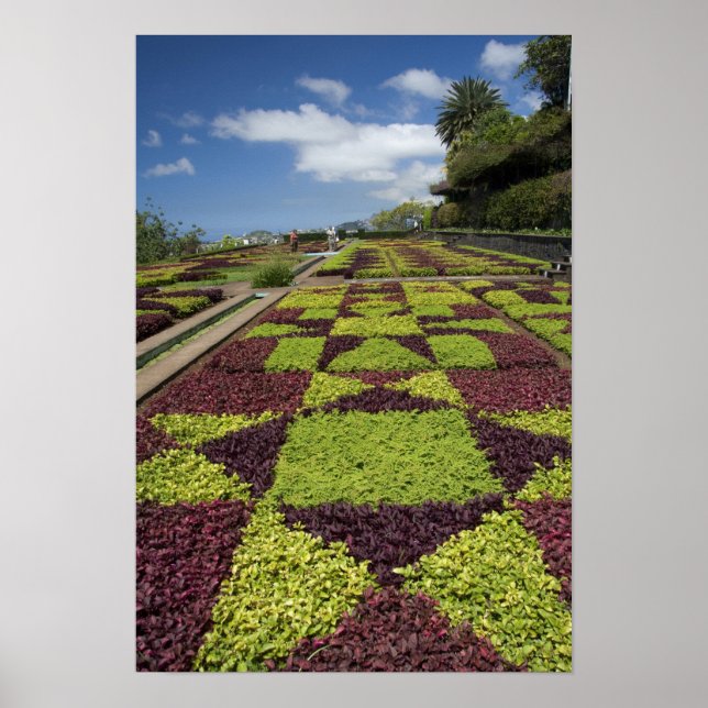 Botanical Gardens, Funchal, Madeira Islands, Poster (Front)